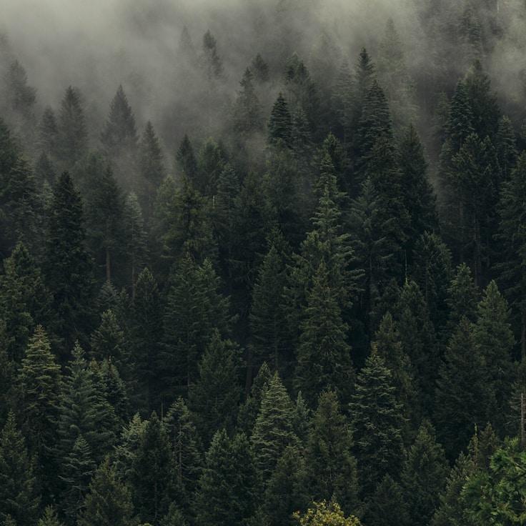 Alpine wilderness landscape